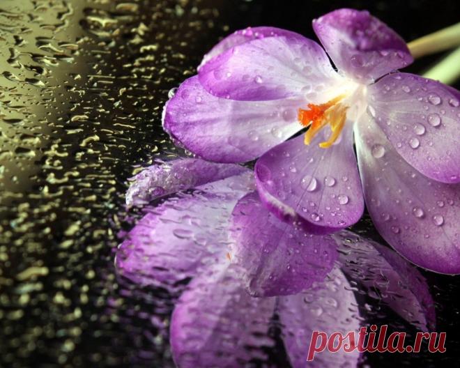 look.com.ua-66973.jpg (1280×1024)