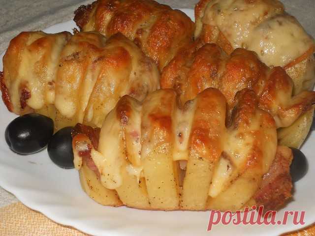Картошка-гармошка

Очень вкусно, быстро и просто!

Попробуйте, не пожалеете!

Картофель очистить, желательно выбрать не очень крупный, вытянутой формы.

Сделать надрезы по всей картошечке, не дорезая до конца.СЛЕГКА обмазать солью.

В каждый разрез вставить по ломтику бекона, можно чередовать бекон с сыром, ну или бекон с дольками шампиньонов.

Сверху поперчить, завернуть в фольгу ( при желании можно в фольгу еще положить зубчик чеснока) и отправить в духовку, где-то минут...