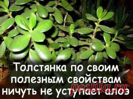 (23) Одноклассники