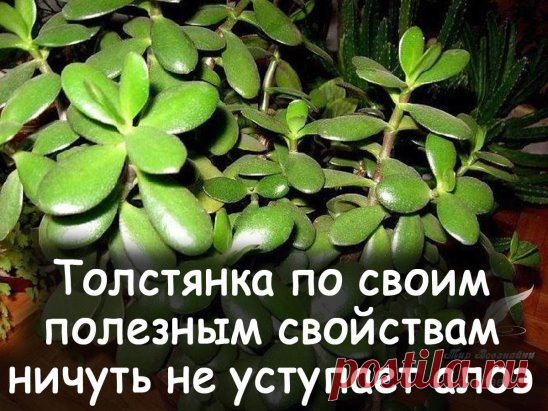 (23) Одноклассники