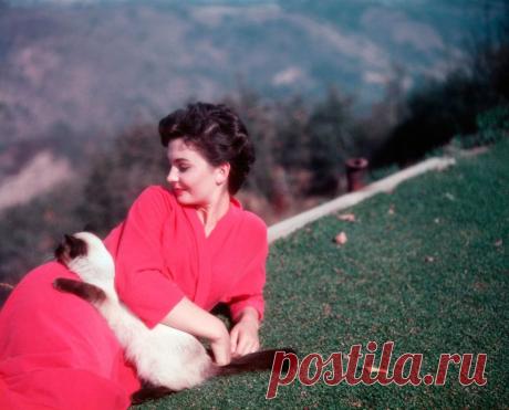 Jean Simmons