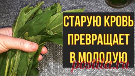 Одноклассники
