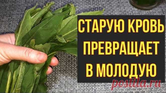 Одноклассники
