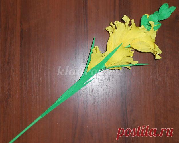 Гладиолусы из креповой бумаги. Мастер-класс с пошаговыми фото