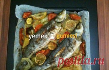 Deniz Ürünleri