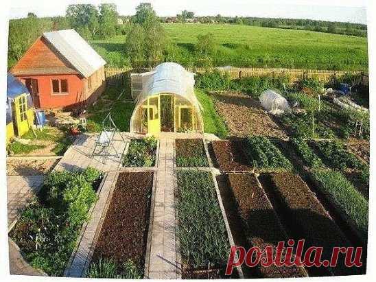 Защита сада подручными средствами
Марганцовка
Поможет в борьбе с серой гнилью земляники (2 ч. ложки на 10 л воды), мучнистой росой на ягодных кустарниках (темно-розовый раствор), проволочником (пролить перед посадкой растений почву раствором – 2 г на 10 л воды). При подготовке картофеля на семена в крепком растворе моют только что выкопанные клубни. 
Порошок горчицы
Опыленная порошком почва станет препятствием для слизней. В первой половине лета настоем опрыскивают ягодные кусты против крыжо