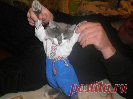 Мой Мир@Mail.Ru