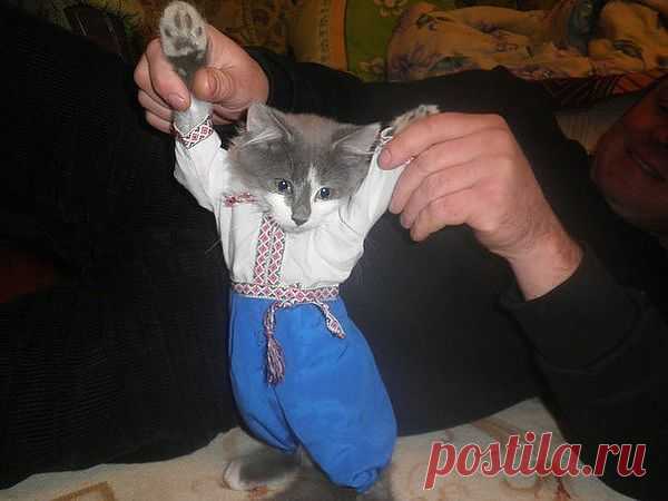Мой Мир@Mail.Ru