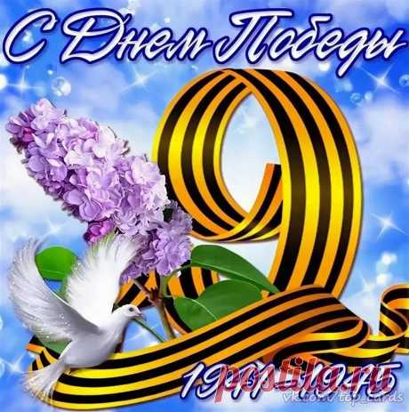 С Днем Победы поздравляю!
Побеждать всегда желаю.
Чтоб вовек не отступать,
Предков чтоб не забывать.