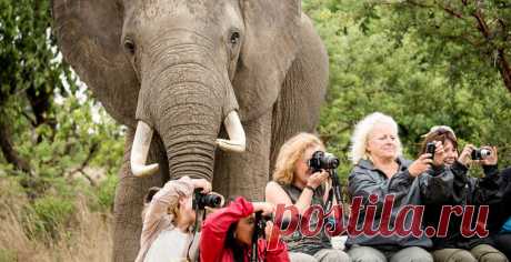 Россияне перешли на самостоятельное бронирование туруслуг / Моя Планета