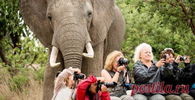 Россияне перешли на самостоятельное бронирование туруслуг / Моя Планета