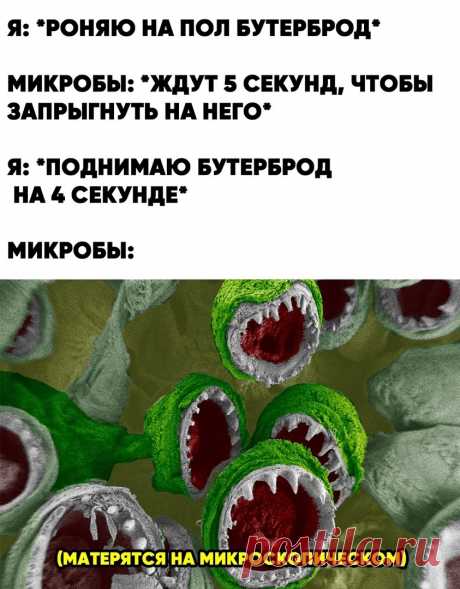 Татьяна Кармишина - Иваново, Ивановская обл., Россия на Мой Мир@Mail.ru