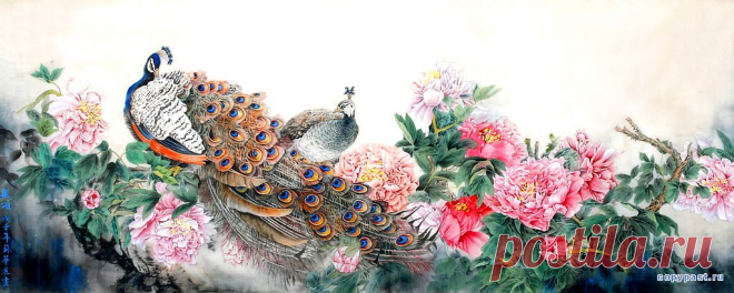 карты для декупажа с павлином: 13 тыс изображений найдено в Яндекс.Картинках