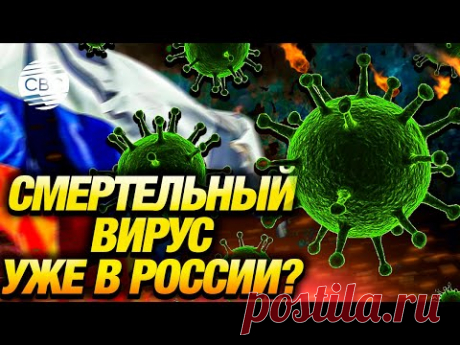 Роспотребнадзор тщательно отслеживает ситуацию с распространением вируса Марбург