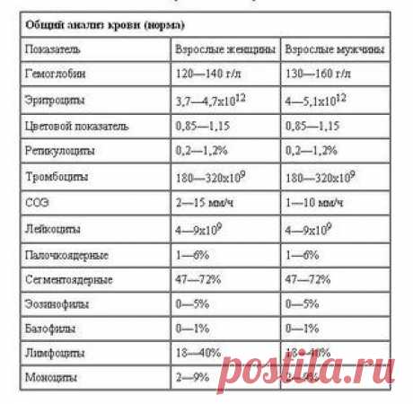 цитата массадист : Учимся понимать свои анализы крови (19:16 13-10-2014) [5224510/339915268] - lapo4kinazina@mail.ru - Почта Mail.Ru