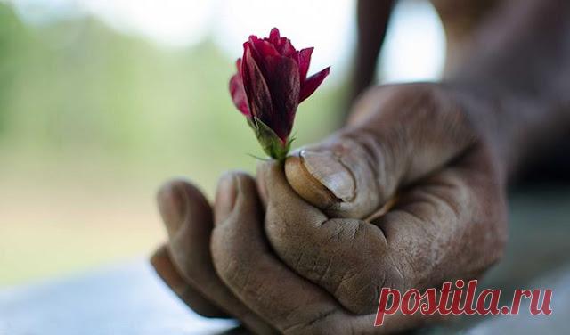 Не создавайте проблемы там, где их нет: 7 самых важных вещей в жизни