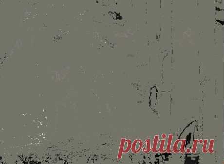 (+1) - Поборка забавных живых фотографий | Искусство