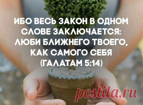 На мой взгляд, то, что правильно для одного, вполне может быть неправильно для другого. Сам я, например, больше всего хотел, чтобы меня оставили в покое, но я обнаружил, что это — редкий случай; другие люди, если я оставлял их в покое, считали меня неотзывчивым, равнодушным эгоистом...

Уильям Сомерсет Моэм .
