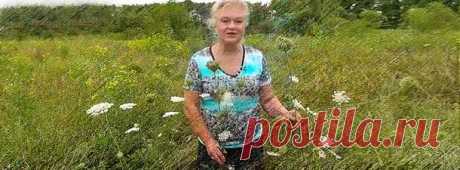 Знаменитая целительница Наталья Зубицкая - расскрывает секреты целебных растений и трав | pokolenie-x.com