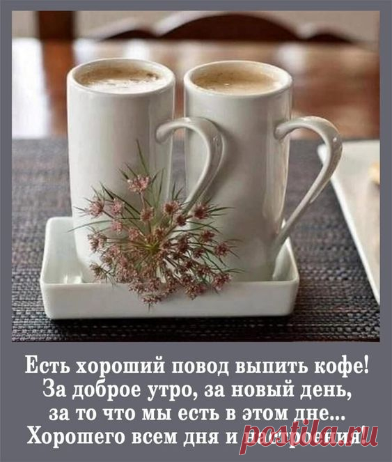 Копилка мудростей — Фото | OK.RU