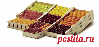 GROW International European wooden packaging network