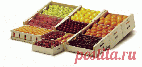 GROW International European wooden packaging network