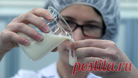 Творог отдай врагу. Что нашли и чего не нашли в молочных продуктах - РИА Новости, 15.05.2018