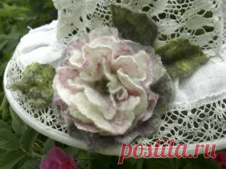 А у вас уже есть свой тонкорунный цветок?