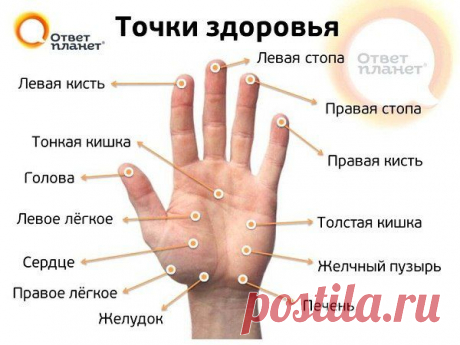 Точки здоровья на нашем теле:  Знать себя Полезно каждому- научишься понимать других...