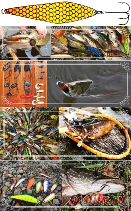 Ловля на вертушки и колебалки