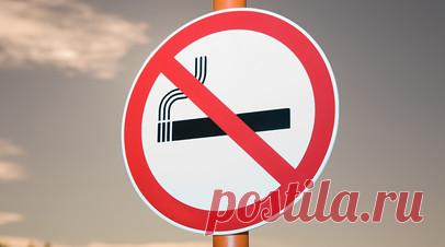 Юрист Рудакова рассказала, можно ли привлечь курящего соседа к ответственности. Юрист Елена Рудакова рассказала, существует ли возможность привлечь курящего соседа к ответственности. Читать далее