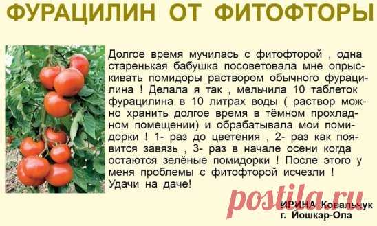 ✔ ПОЛЕЗНЫЕ СОВЕТЫ : 
✪ Сохраните чтобы не потерять.