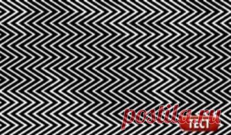 Только 1 человек из 11 может увидеть здесь скрытое изображение! Последнее время стали популярны разного рода оптические иллюзии.Действительно,это очень приятный способ заставить свой мозг воспринимать реальность