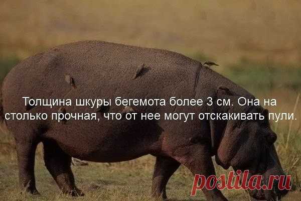(3) Мой Мир@Mail.Ru