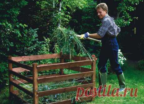 Home garden|Сад, огород, растения дома
