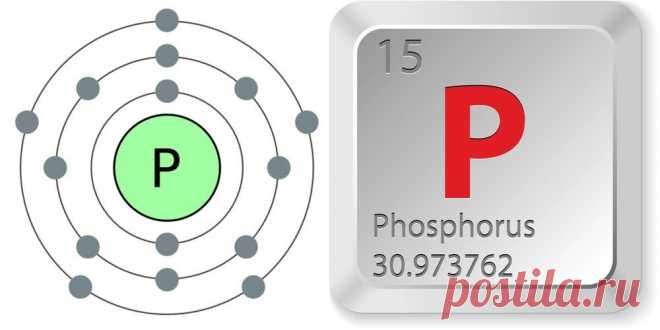 Фосфор (P, Phosphorus) | Кухня Кухня Фосфор открыл в 1669 году алхимик из Гамбурга Хенниг Бранд, который проводил опыты с выпариванием человеческой мочи, пытаясь получить философский камень. Вещество, образовавшееся после многочисленных
