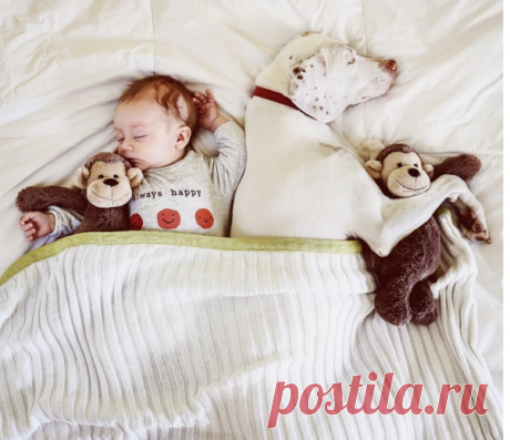 Elizabeth в Instagram: «Because nap time is better with friends! . FUJI-XT1»