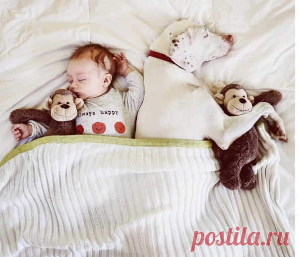 Elizabeth в Instagram: «Because nap time is better with friends! . FUJI-XT1»