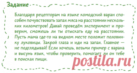 Комодский варан — сильный и опасный хищник с очень острыми зубами. Ему ничего не стоит поймать на ужин оленя или кабана!