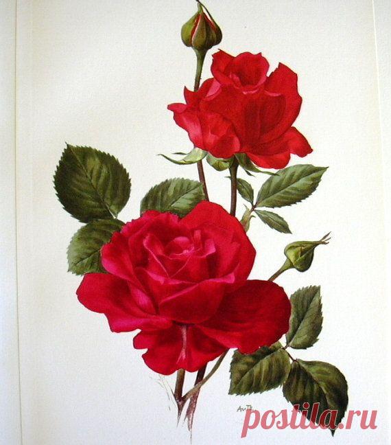 Найдено на сайте etsy.com.