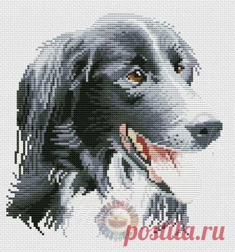 Фотографія