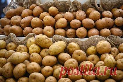Россия перестала покупать картофель у постсоветской республики