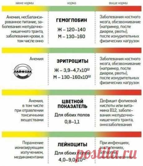 Не кисни...на РАДУГЕ зависни! Все новости о телепроекте "Дом-2" и не только...