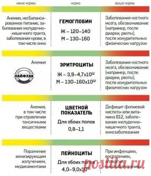 Не кисни...на РАДУГЕ зависни! Все новости о телепроекте "Дом-2" и не только...