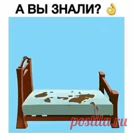 (61) Одноклассники