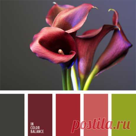 Цветы, деревья — источник вдохновения! | BepHuK собирает друзей