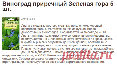 Виноград приречный Зеленая гора 5 шт. - «ООО ГАВРИШ ДАЧА»