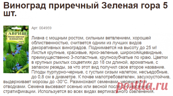 Виноград приречный Зеленая гора 5 шт. - «ООО ГАВРИШ ДАЧА»