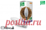 Светодиодная лампа е14 Sky Lark C37-7 (нейтральный свет) | Купить лампы светодиодные с цоколем е14, цена Требуется купить светодиодные лампы е14 Sky Lark C37-7 (нейтральный свет) в Минске? ✍ Лампы светодиодные с цоколем е14 в интернет-магазине LightEnergy. ✅ Высокое качество. ➤ Доставка по Минску и Беларуси. ☎ Оформить заказ: +375 (29) 882-17-54, +375 (29) 118-17-54.