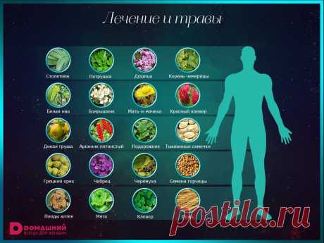 (99) Facebook